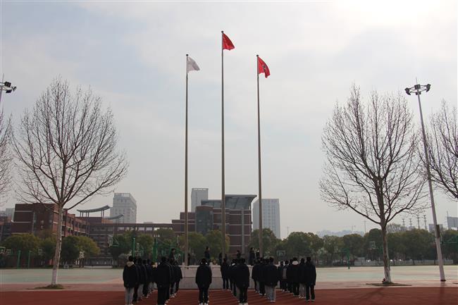 IMG_2709.JPG IMG_2709.JPG