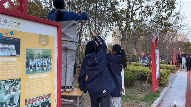 图片 3.png 图片 3.png