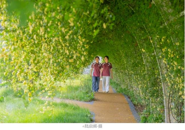 微信截图_20250428114210.jpg 微信截图_20250428114210.jpg