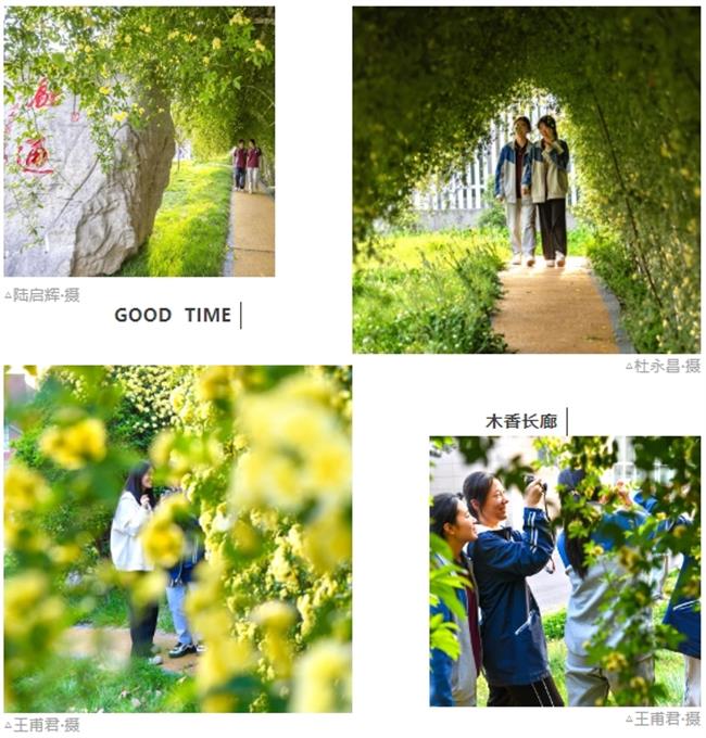 微信截图_20250428114406.jpg