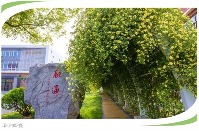 微信截图_20250428114504.jpg 微信截图_20250428114504.jpg