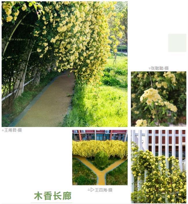 微信截图_20250428114518.jpg 微信截图_20250428114518.jpg