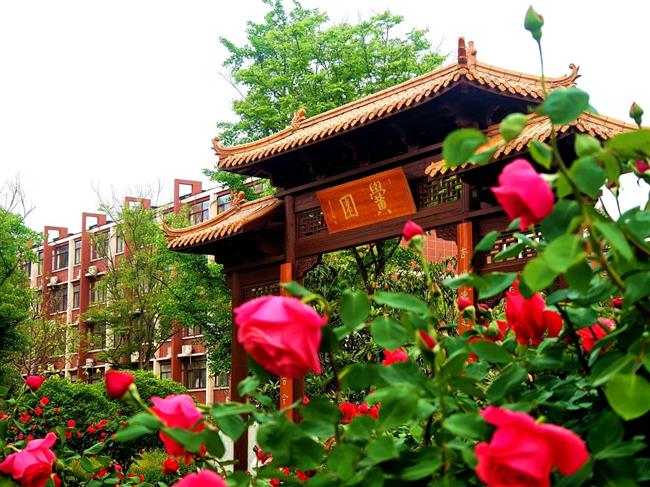 微信图片_20250627223543.jpg 微信图片_20250627223543.jpg