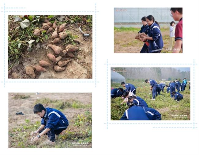 微信截图_20251102210922.png 微信截图_20251102210922.png