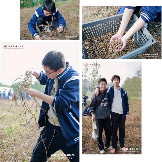 微信截图_20251102210905.png 微信截图_20251102210905.png