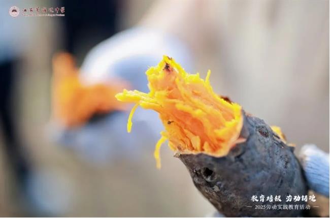 微信截图_20251102210947.png 微信截图_20251102210947.png