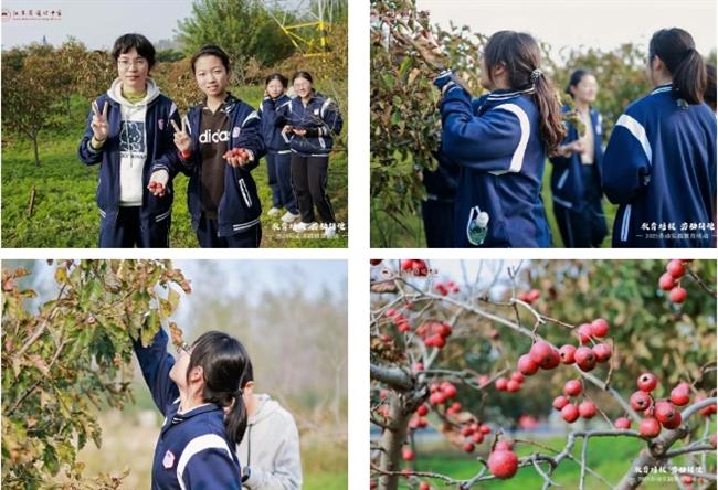 微信截图_20251102210914.png 微信截图_20251102210914.png